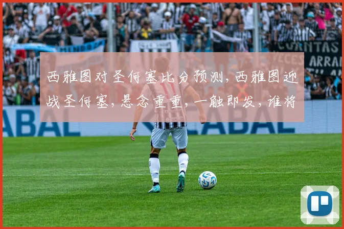 西雅图对圣何塞比分预测,西雅图迎战圣何塞,悬念重重,一触即发,谁将笑到最后